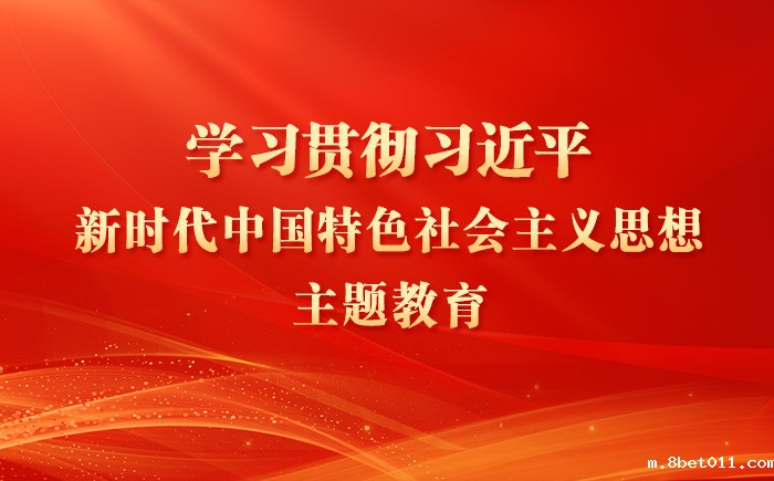 学习贯彻习近平新时代中国特色社会主义思想主题教育